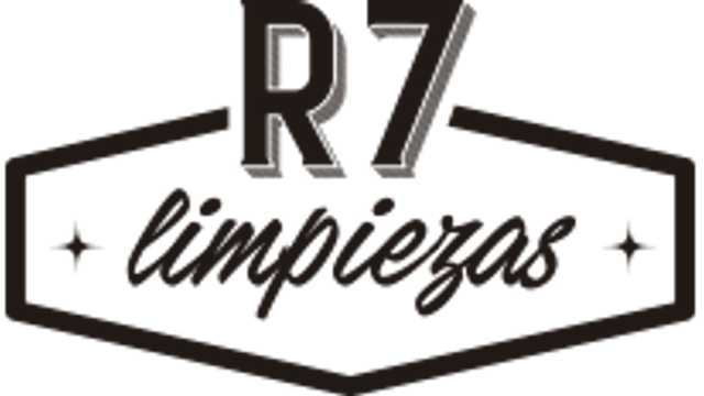 Limpiador/a