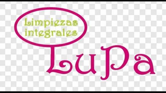 Limpiador/a