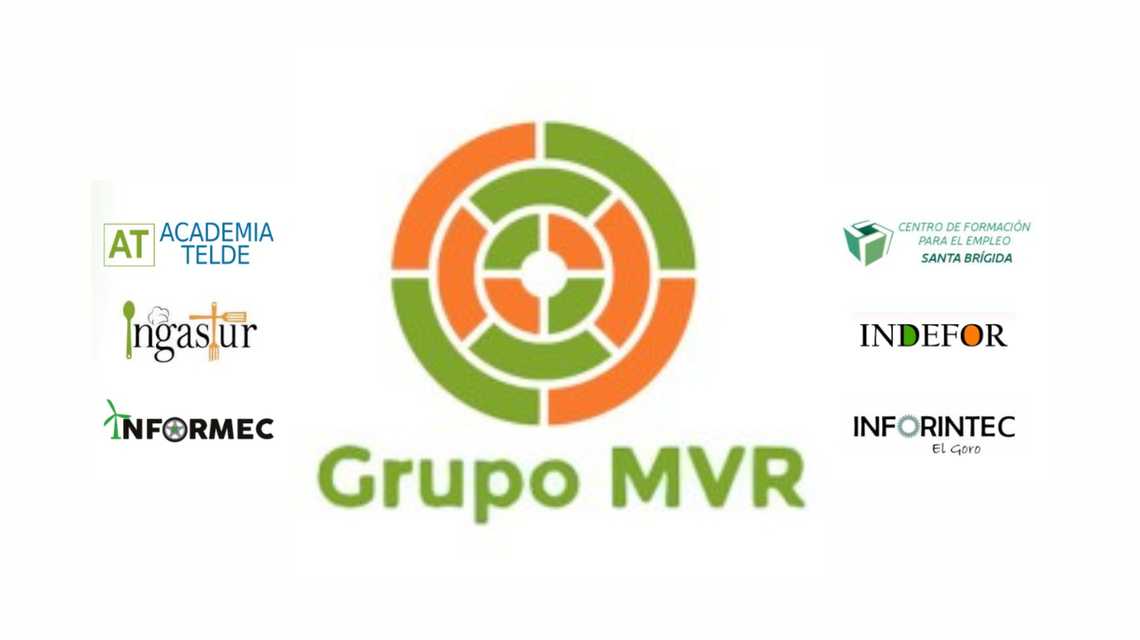 GRUPO MVR cover image