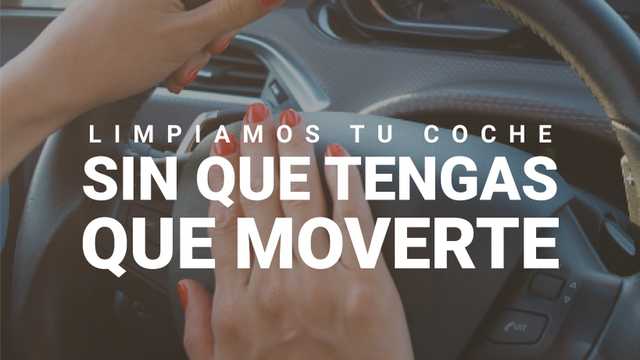 Limpiador de vehiculos a domicilio