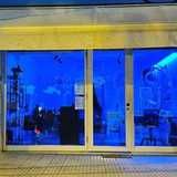 Lucia R. avatar icon