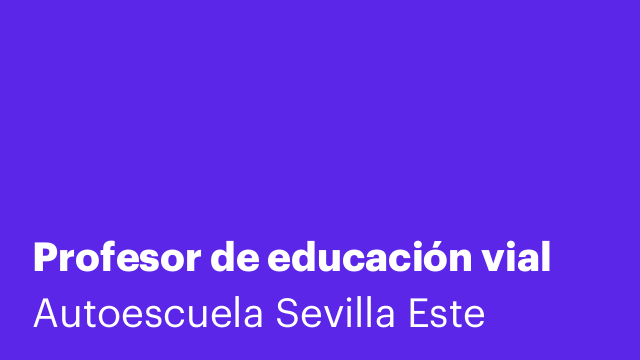 Profesor de educación vial