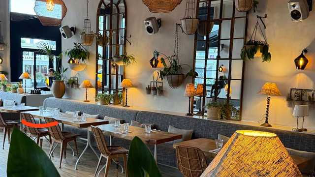 Head Waiter / Waitress