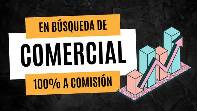 Comercial y Captador/a