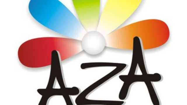 Dependiente de stand