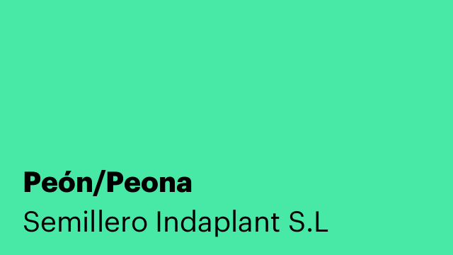 Peón/Peona