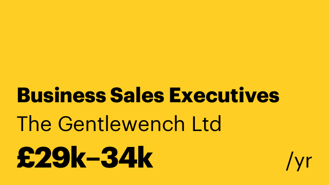 Business Sales Executives