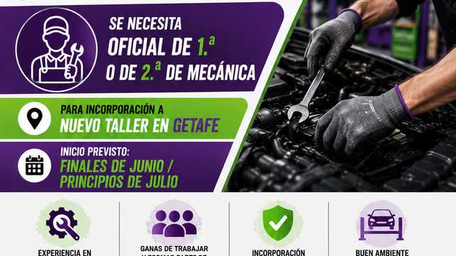 Mecánico/a