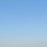 Raquel M. avatar icon