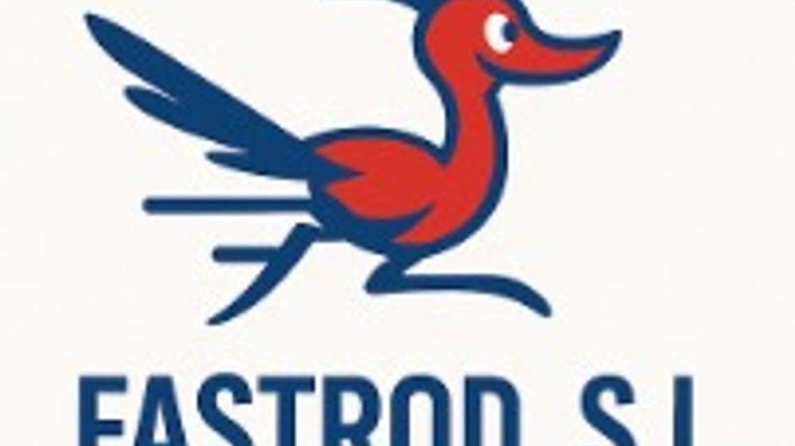 Fastrod SL cover image