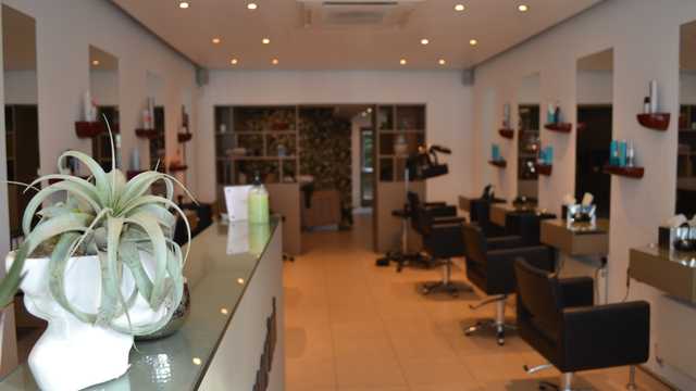 Junior Stylist