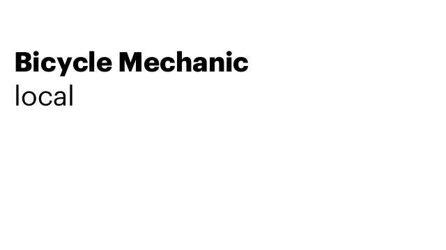 Bicycle Mechanic