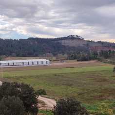 company photo
