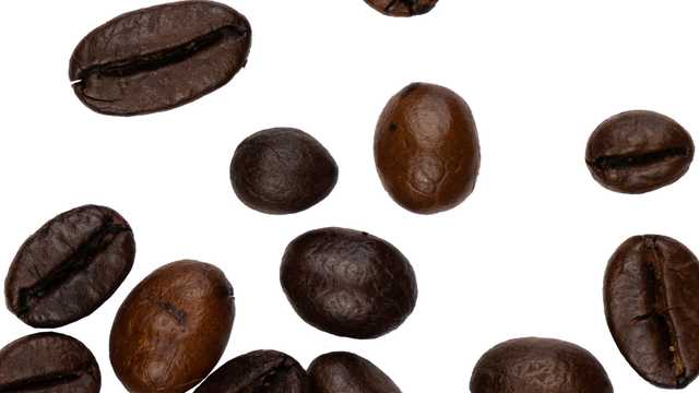 Barista