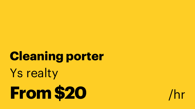 Cleaning porter
