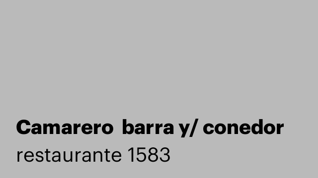 Camarero  barra y/ conedor