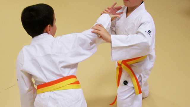 Profesor/a de Judo