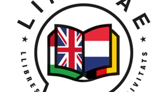 Profesor/a de Inglés