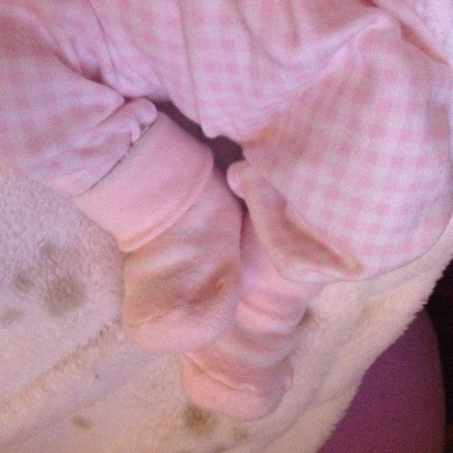 Adina P. avatar icon