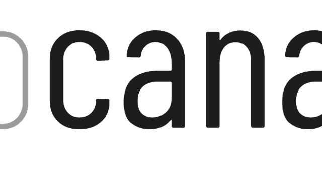 Mecánico/a