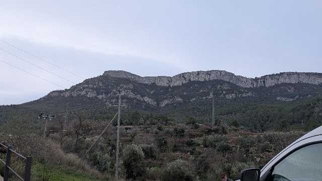 Repartidor autónomo