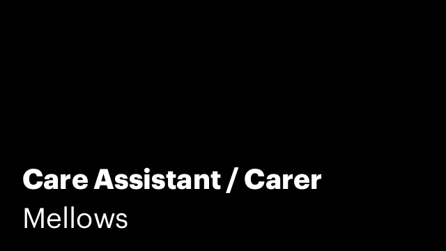 Care Assistant / Carer