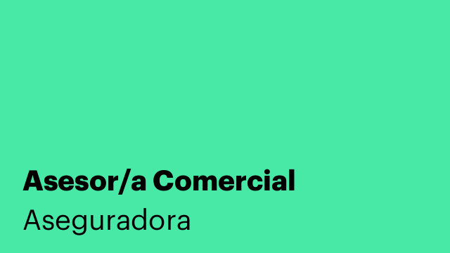 Asesor/a Comercial