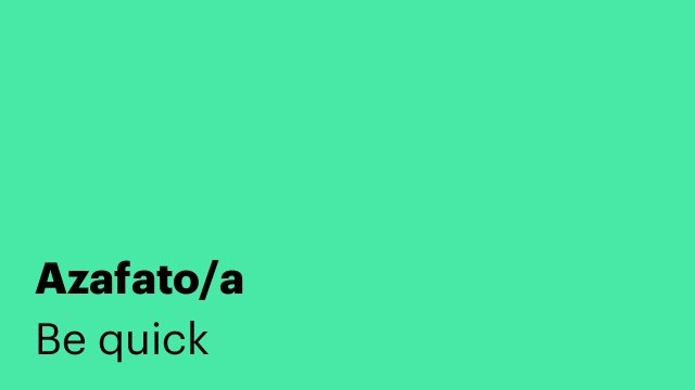 Azafato/a