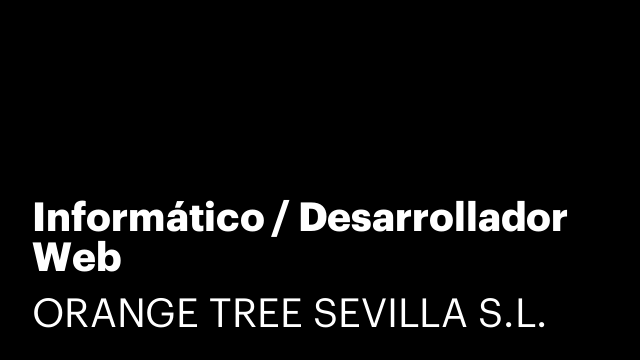 Informático / Desarrollador Web