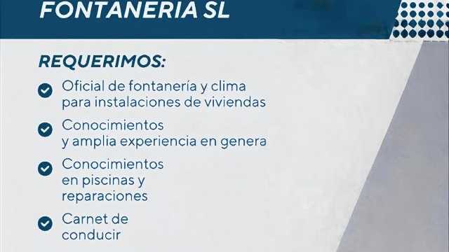 Fontanero/a