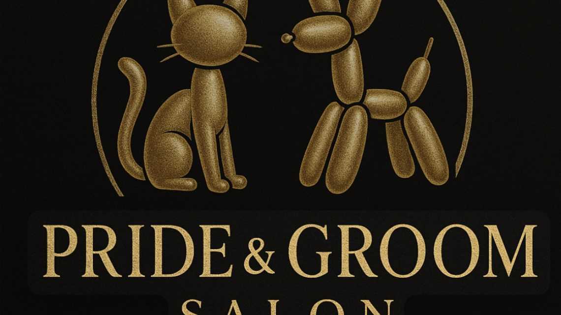 Pride And Groom cover image