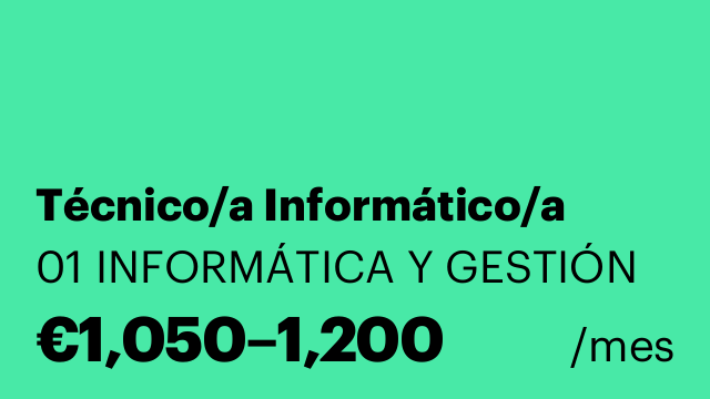 Técnico/a Informático/a