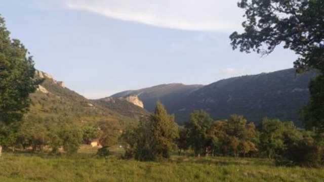 MATRIMONIO PARA FINCA DE CAZA