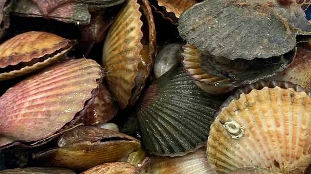 Ayudante/a Pescadería