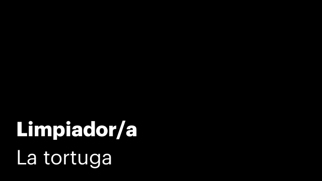 Limpiador/a
