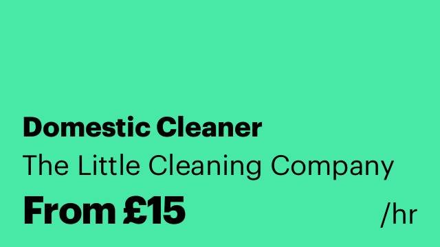 Domestic Cleaner