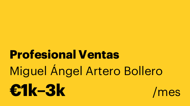 Profesional Ventas
