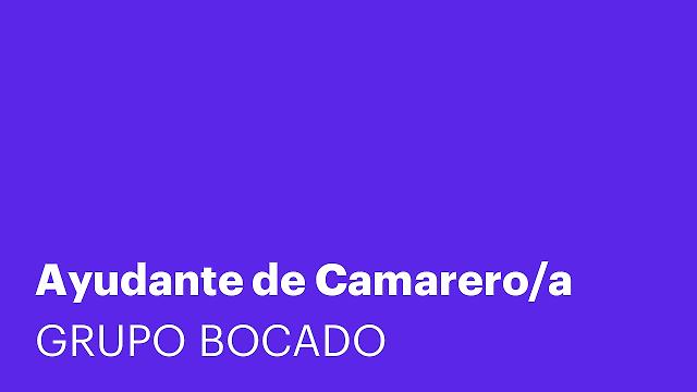 Ayudante de Camarero/a
