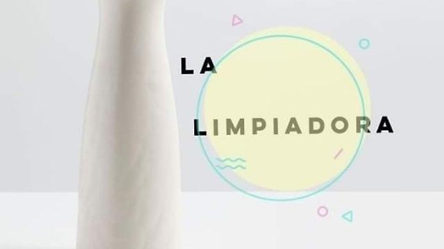 Limpiador/a