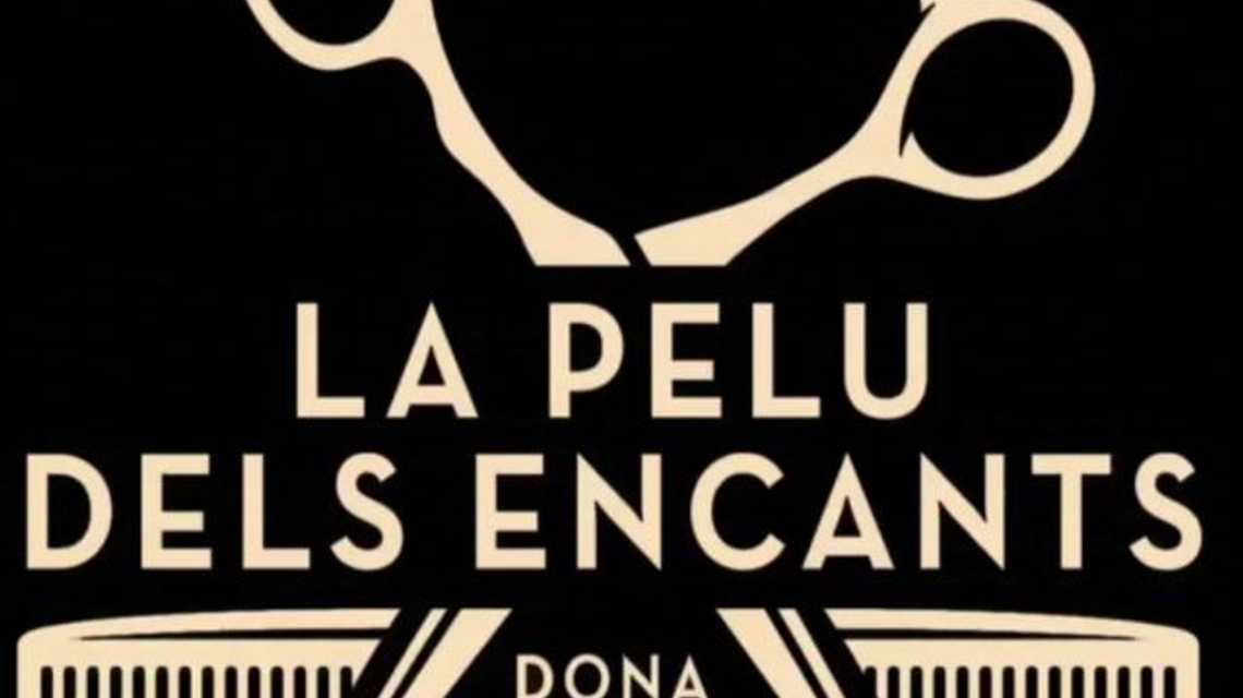 LA PELU DELS ENCANTS cover image