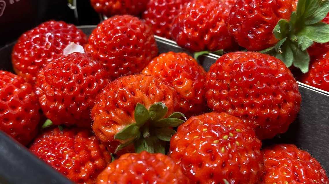 Produce Market cover image