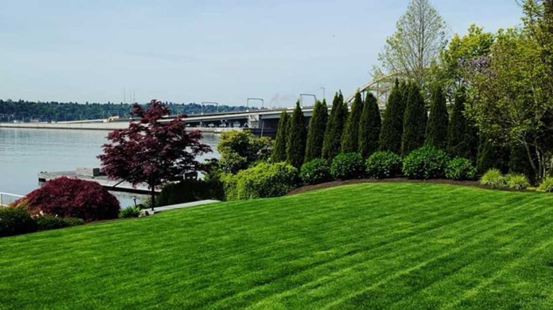 Green City Lawn Care cover image
