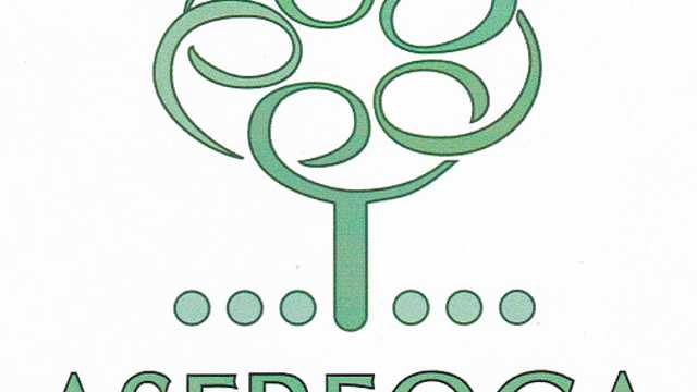 Ingeniero/a Técnico/a