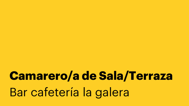 Camarero/a de Sala/Terraza