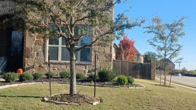 Company photo #1