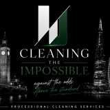 Cleaning The Impossible logo