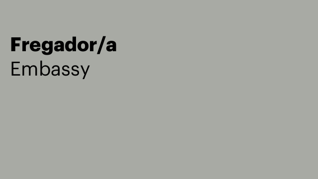 Fregador/a