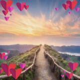 Wenjun Z. avatar icon