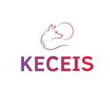 KECEIS SERVICES  avatar icon