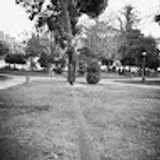 Alvar L. avatar icon